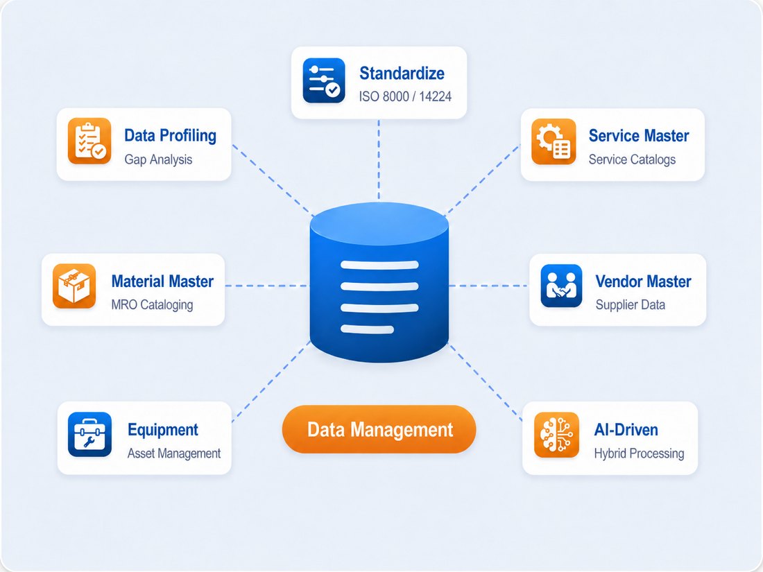 Master Data Services Overview